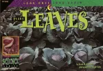 Plant Leaves